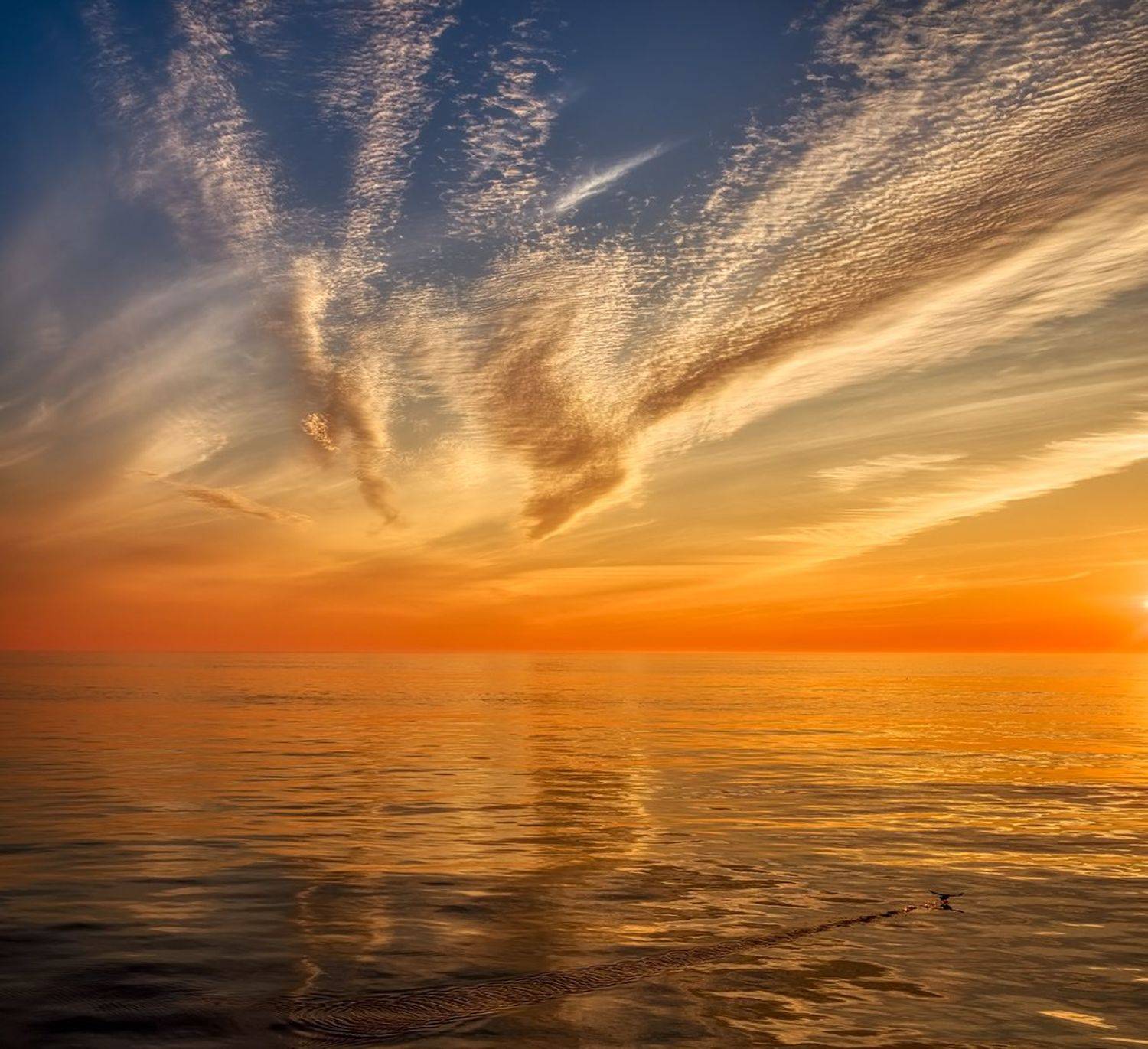 закат, отражение, охотское море, чайка, Евгений Паршуков