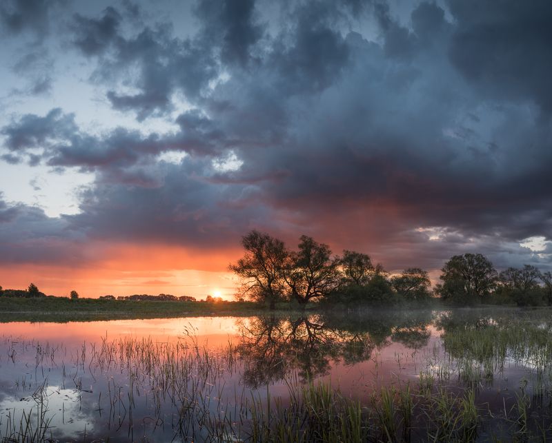 новгородская область, рассвет, После дождя фото превью