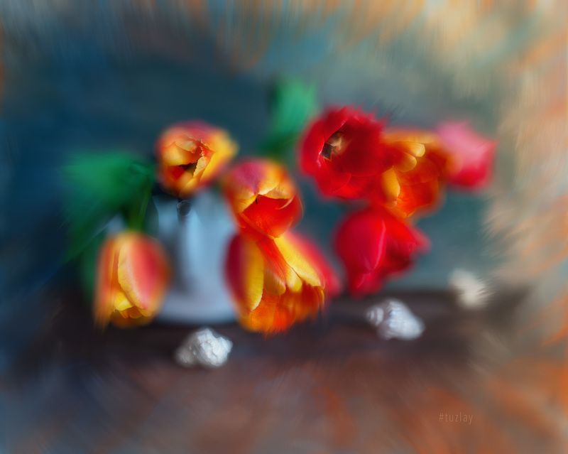 тюльпаны Фантазия с тюльпанами фото превью