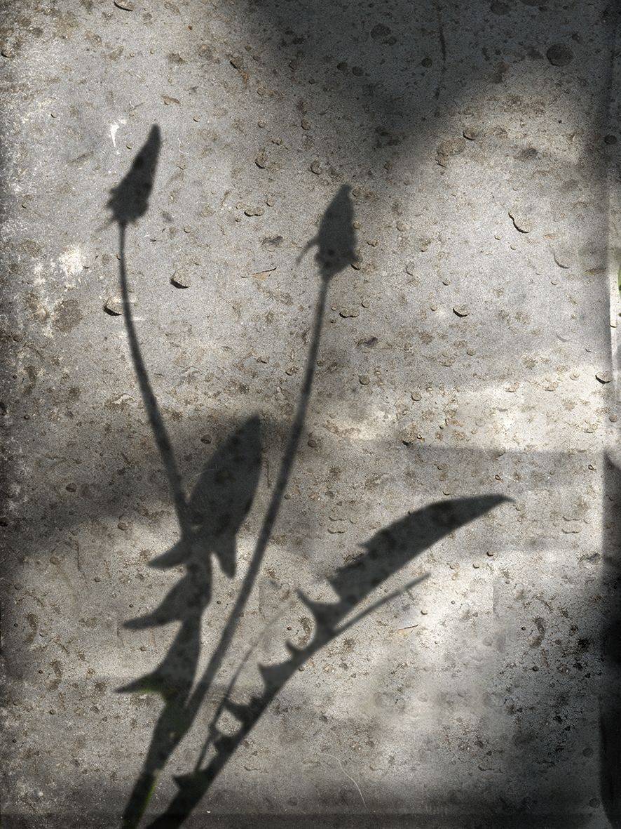 , T. Bondarenko
