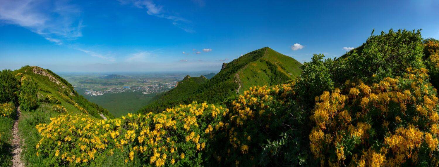 бештау,май,рододендрон,панорама,кмв,природа,пейзаж, Елена Брежицкая