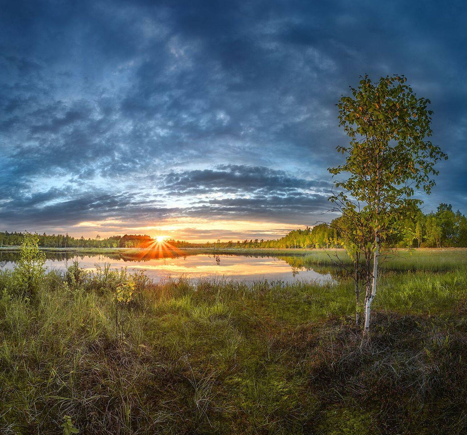 , Николай Андреев