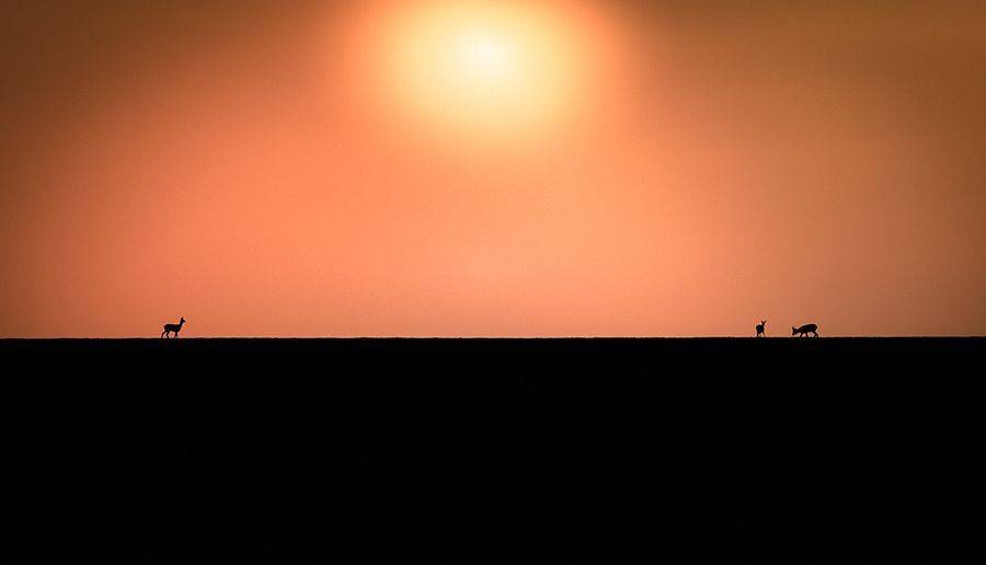 , Игорь Кляхин