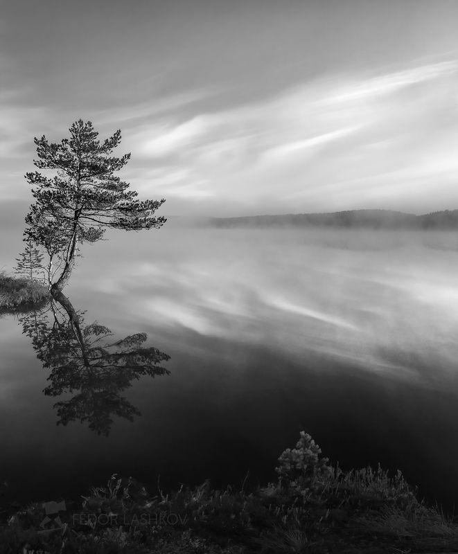 На краю фото превью