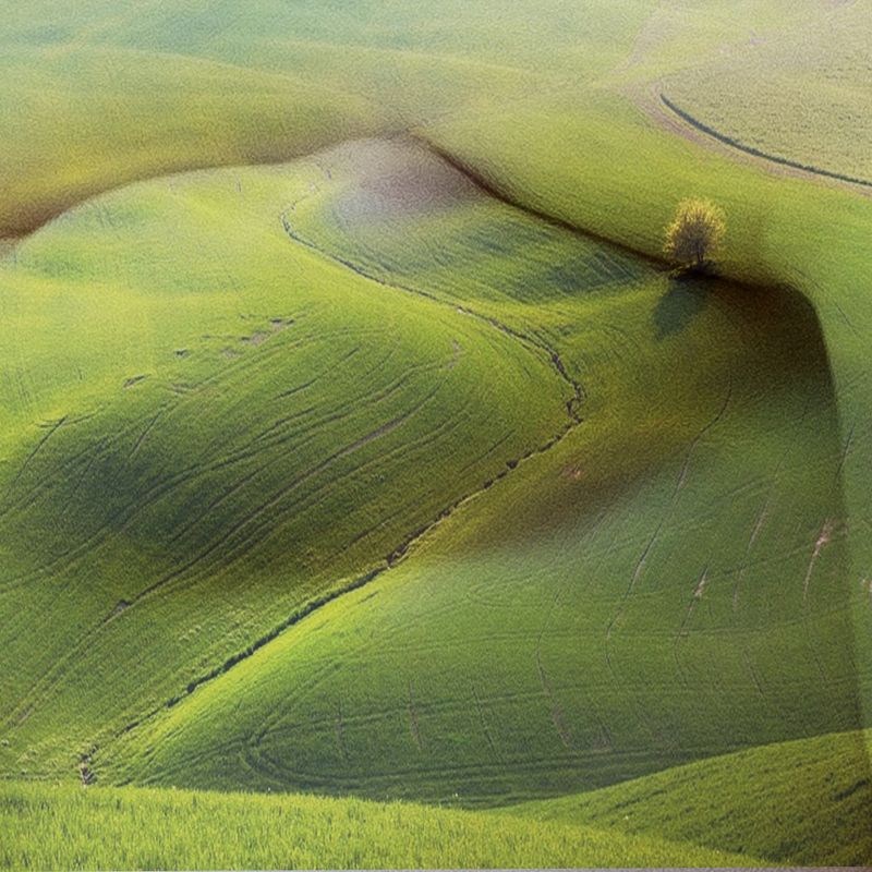 meadows, fields, green grass, hills, female body, chest, art, perspective, illusion, oasis, wood, meadows фото превью