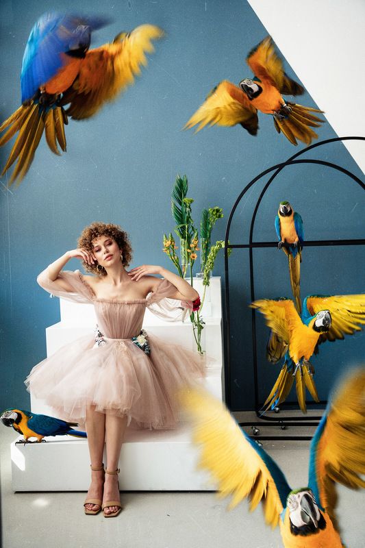 девушка попугай красота сон студия гламур ретушь мечты о полете. сон знойного мая фото превью