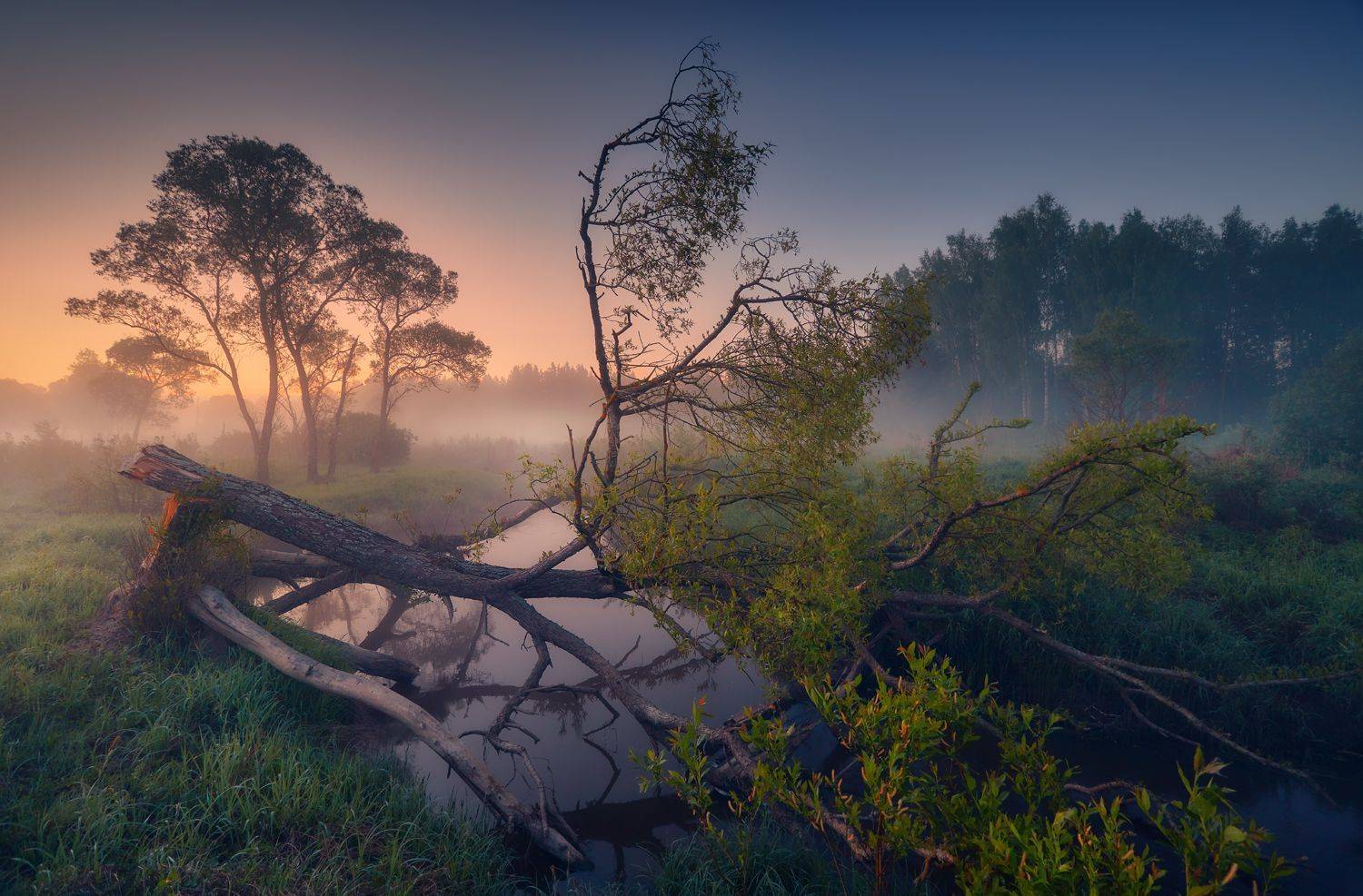 владимирская область,природа, пейзаж, май, весна, (Roman) Heger