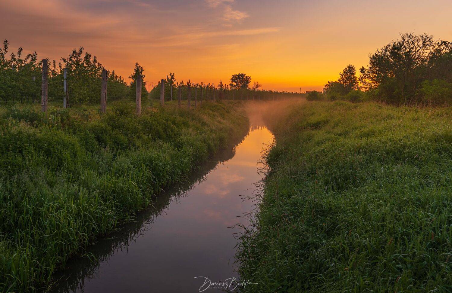 , Dariusz Budyta
