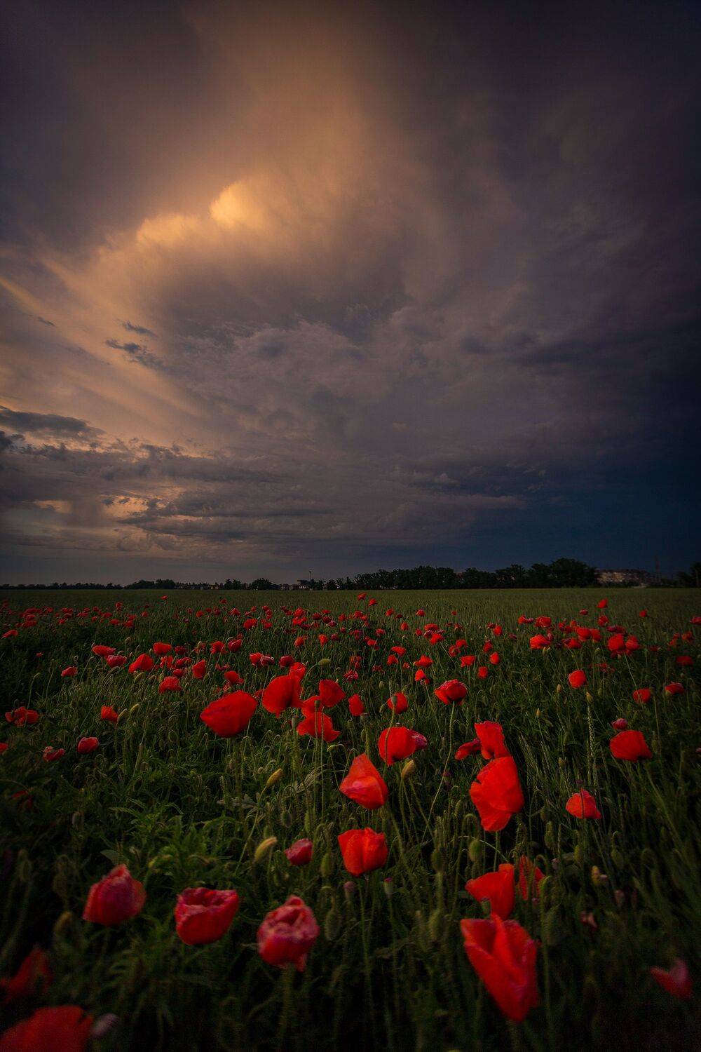 , Павел Сагайдак