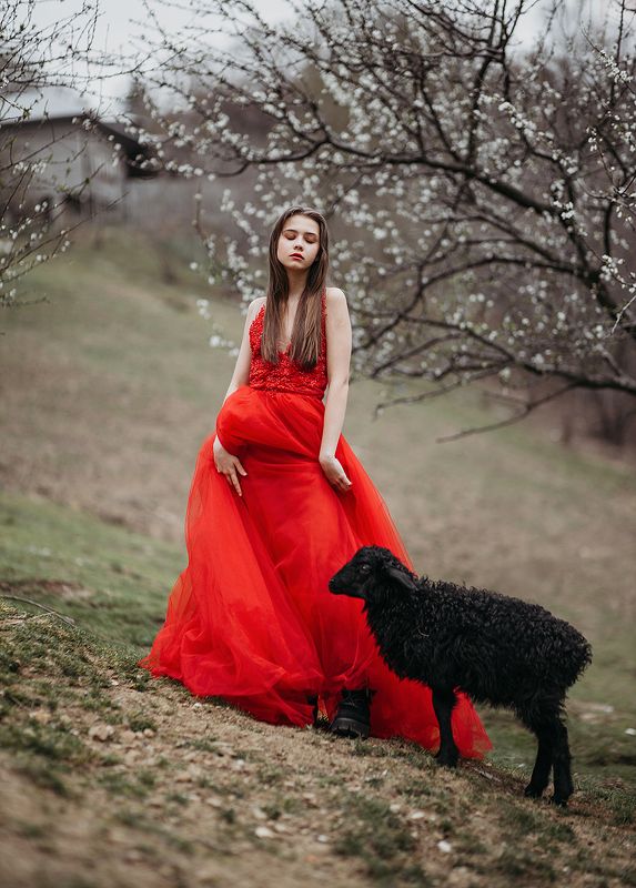 фото превью