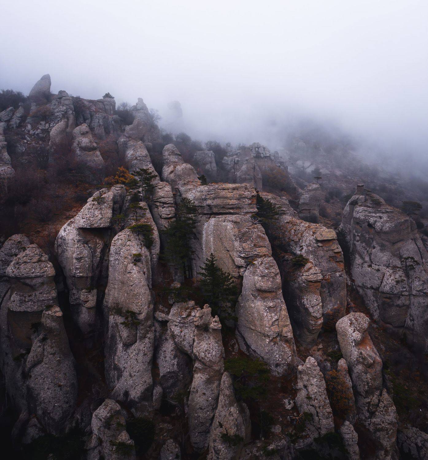 , Александр Шинкаревский