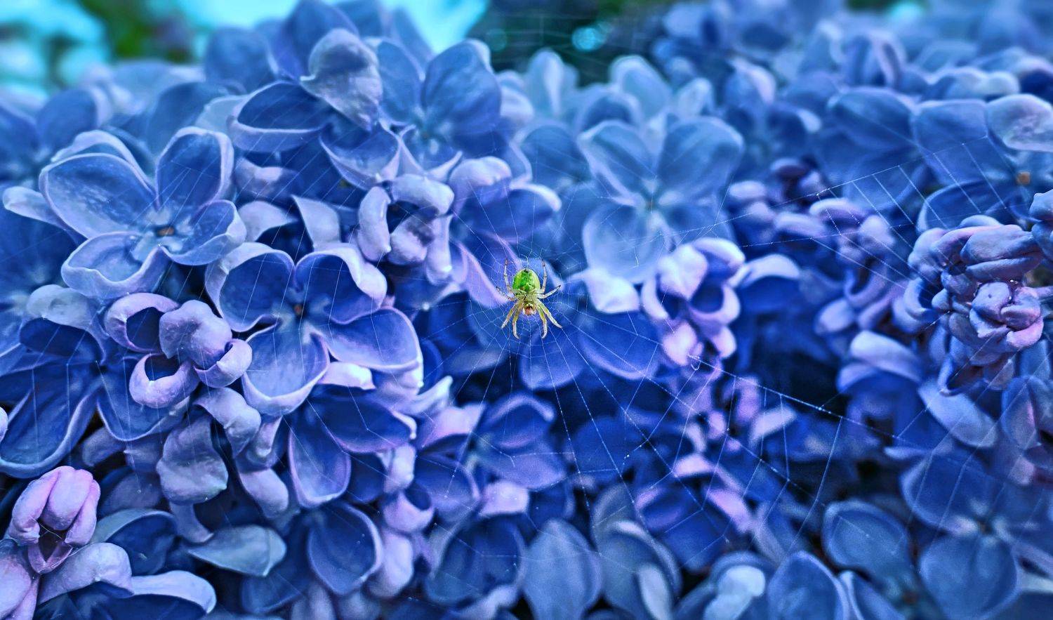 , Евгений Гудилин (Андрей Главин, Болиголов)