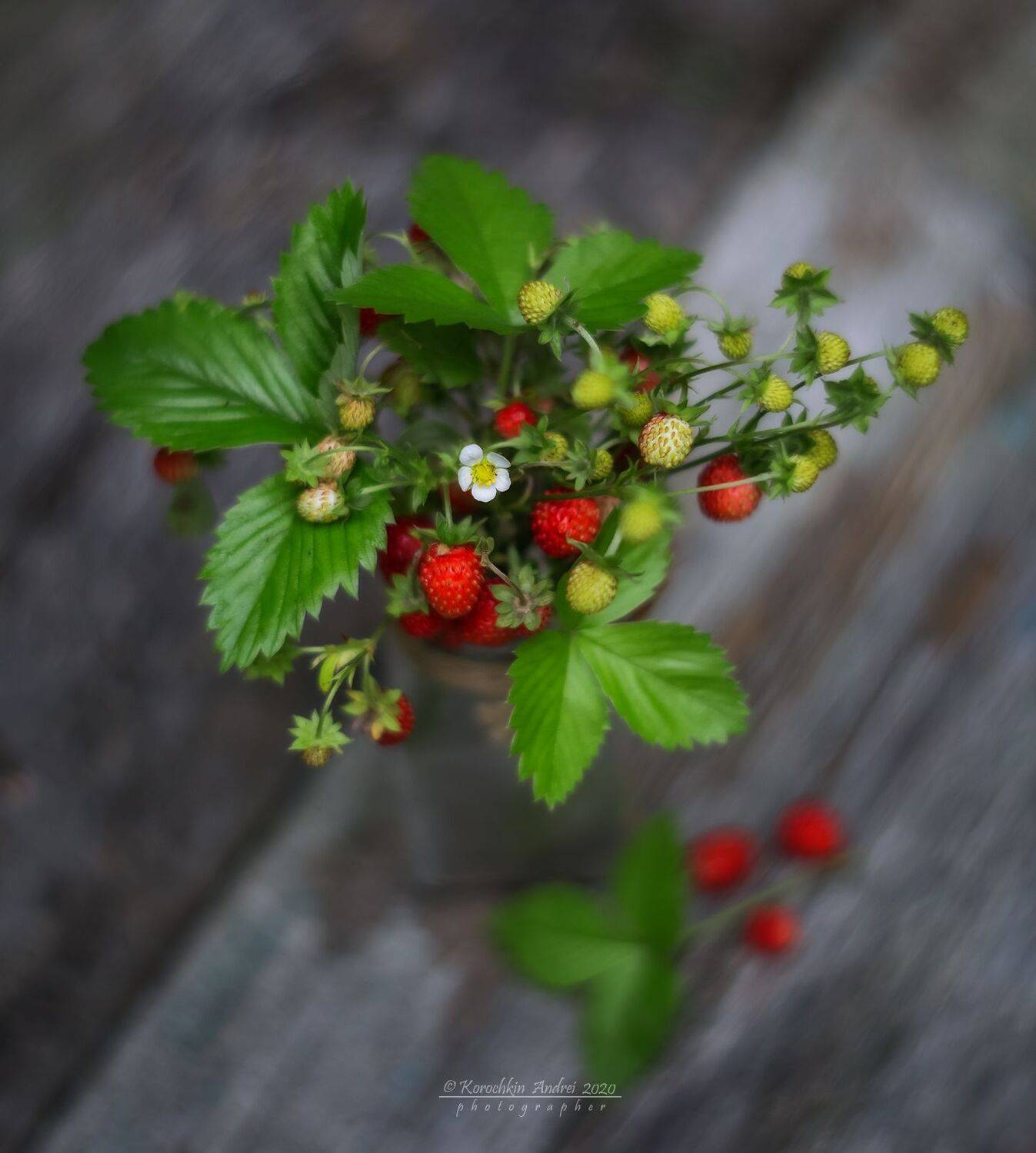 , Андрей Корочкин