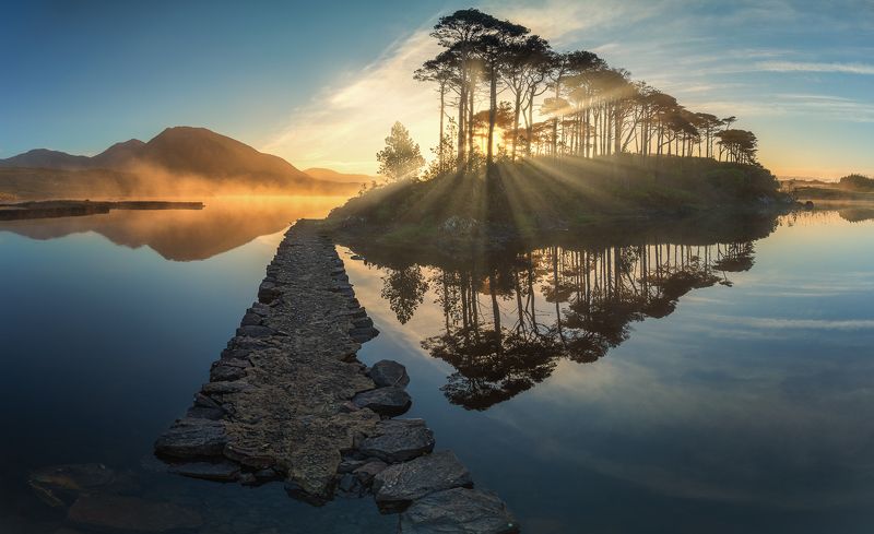 Pine Tree Island фото превью