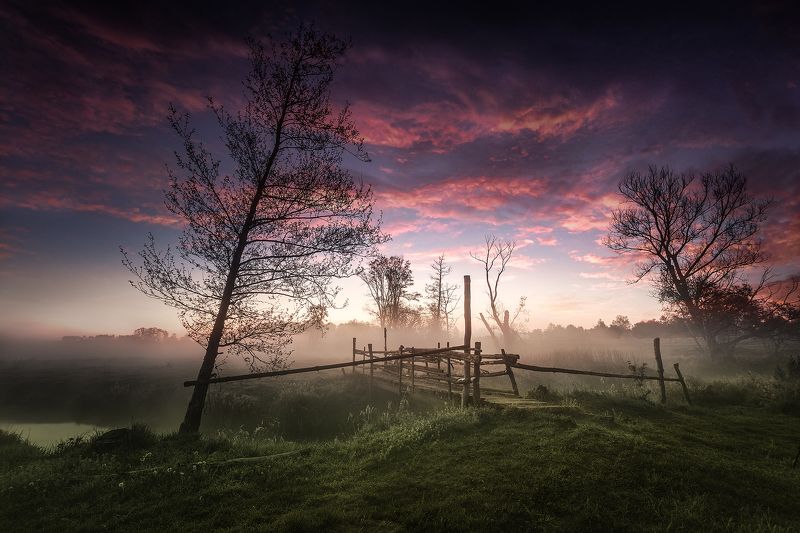 morning river фото превью