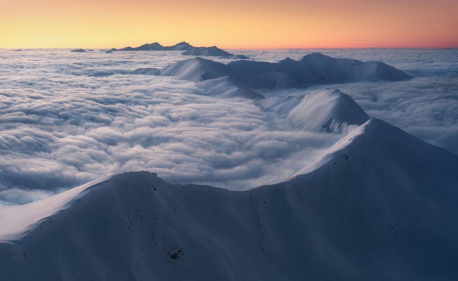 , Szabo Zsolt Andras