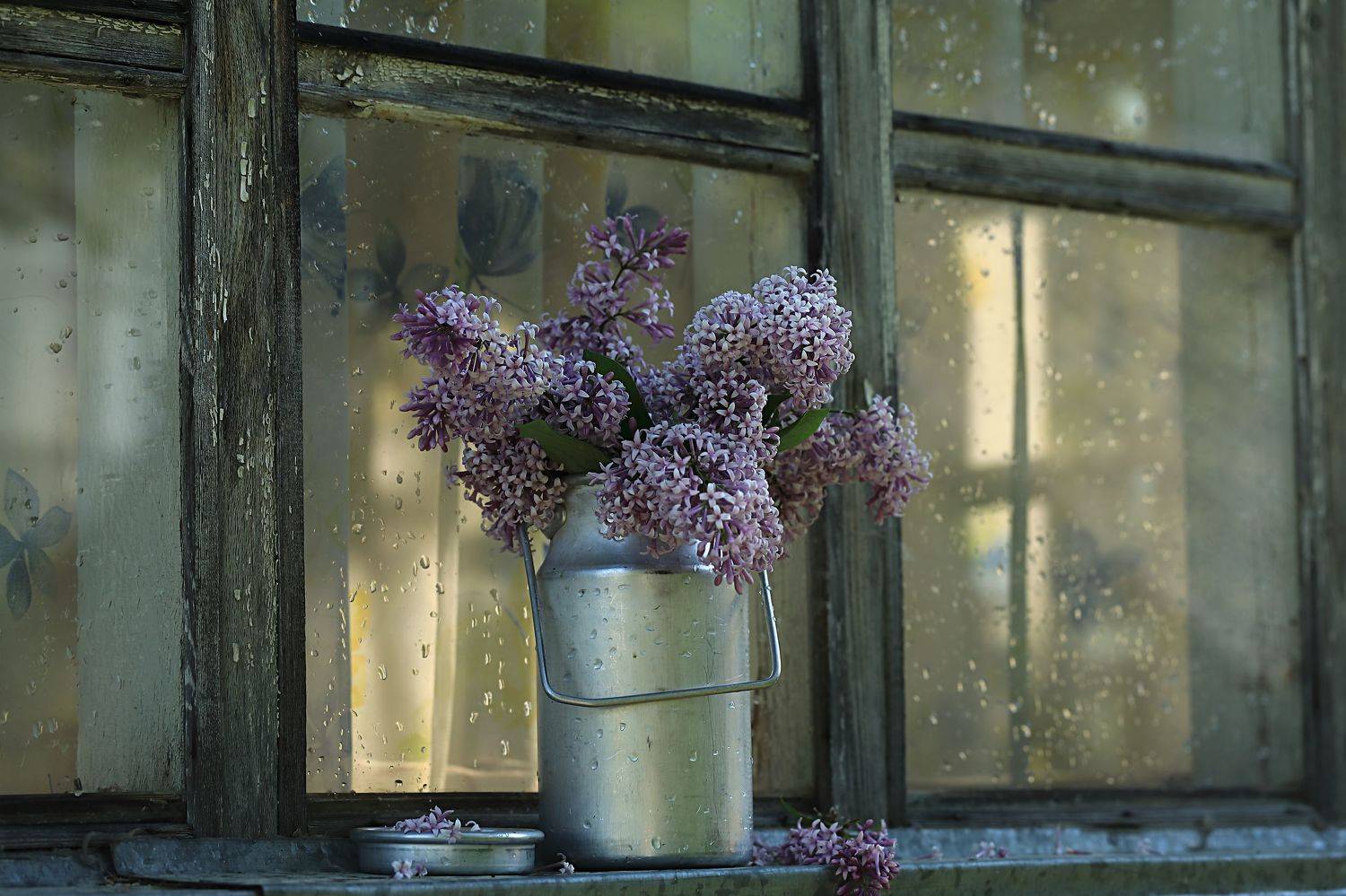 , Наталья Бочкарева