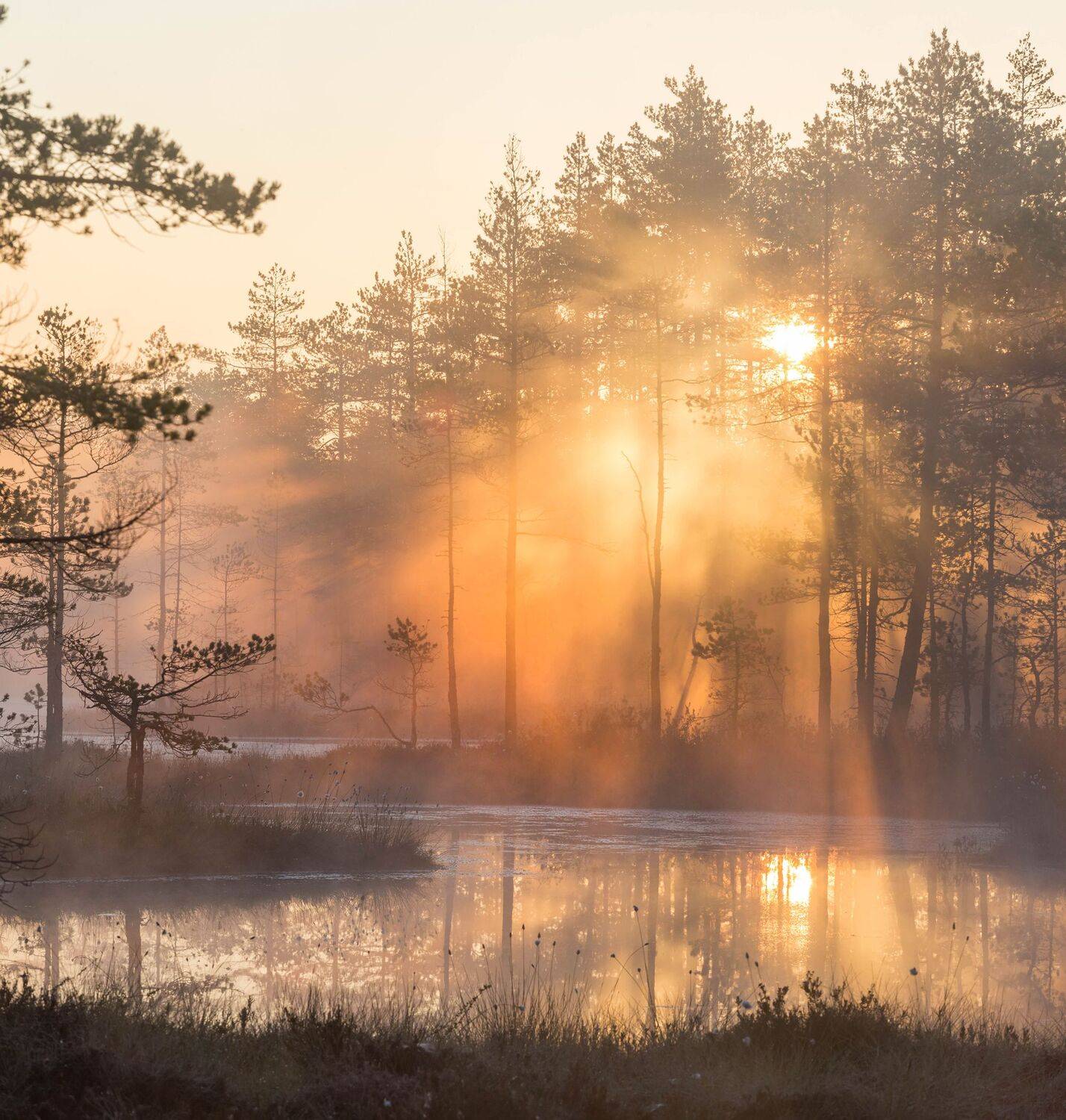 болото, кайф, рассвет ,север ,солнце, свет, закат, облака, отражение, фототур, Павел Ващенков
