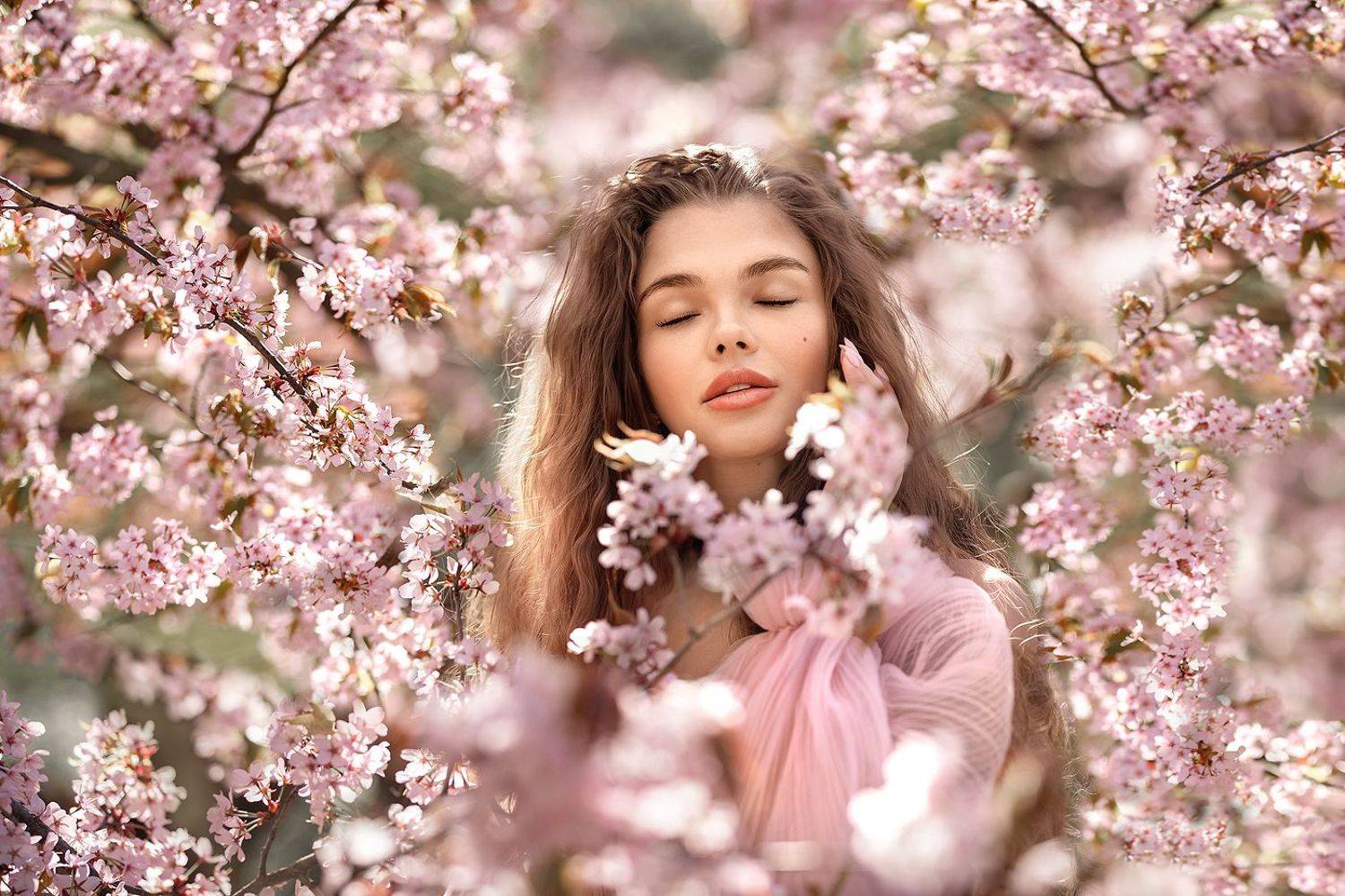 портрет девушка женский портрет цветение сакура, Елена Соловьёва