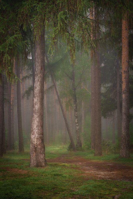 Возвращаясь к нахоженным тропам фото превью