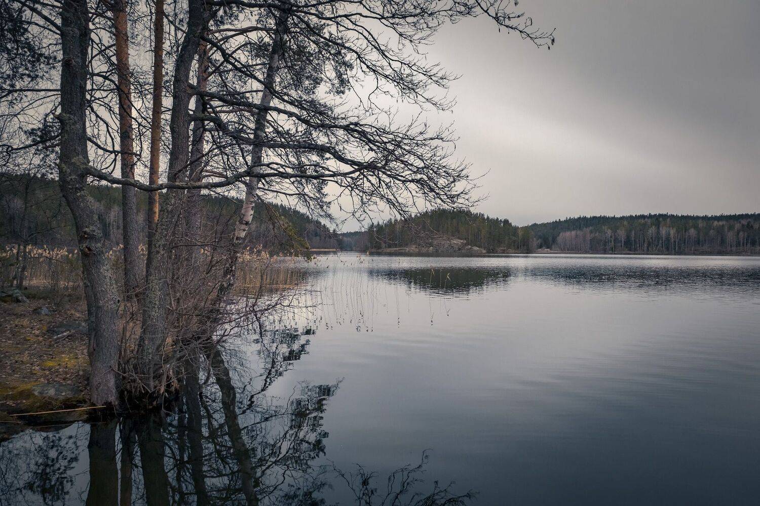 карелия, озеро, остров, кортеланъярви, скала, сосна, лес, облака, пейзаж, природа, Андрей Чиж