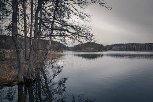Пасмурный вечер