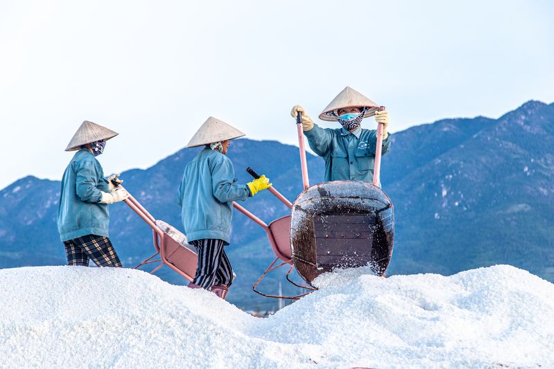 Salt field фото превью