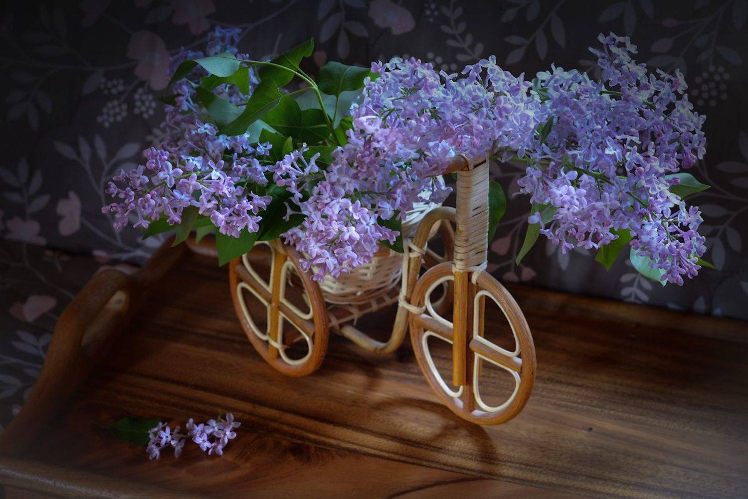 , Марина Никифорова