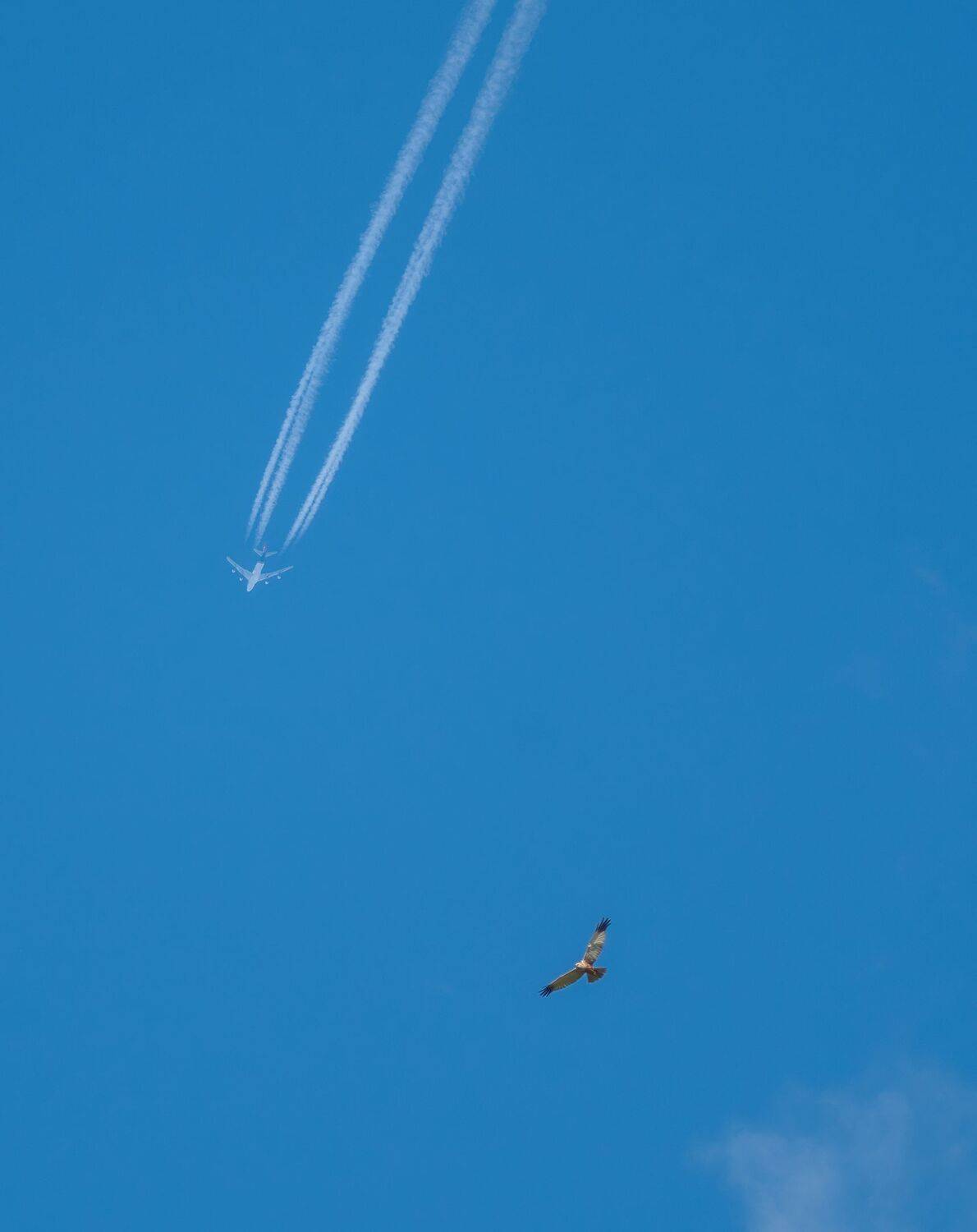 , Константин Дэм