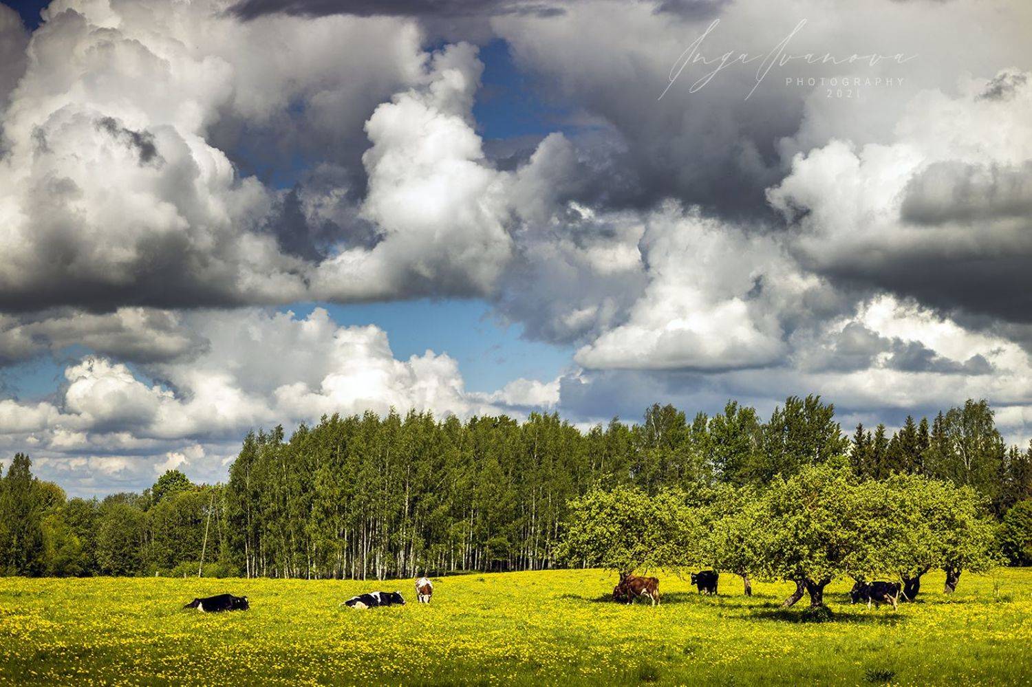 , Инга Иванова