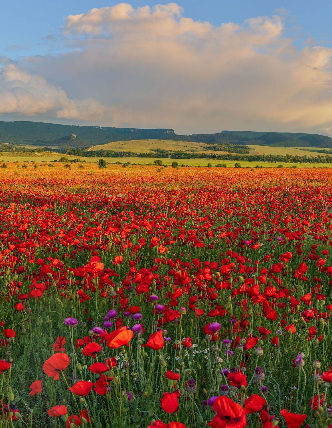 Фототуры с Владимиром Рябковым, Крым, #topnature #russpasibo #magic_shots #lovelyRussia #sunset_vision #exclusive_sky  #exclusive_shots #loves_russia2 #photoarena_nature #nature_sultans #nature_perfection #rsa_sky #rsa_sunset #photorussia #rsa_naturepics , Владимир Рябков