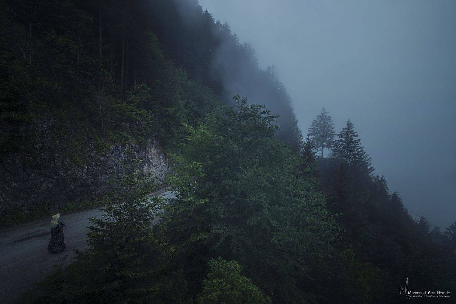 , Махмуд Хамда