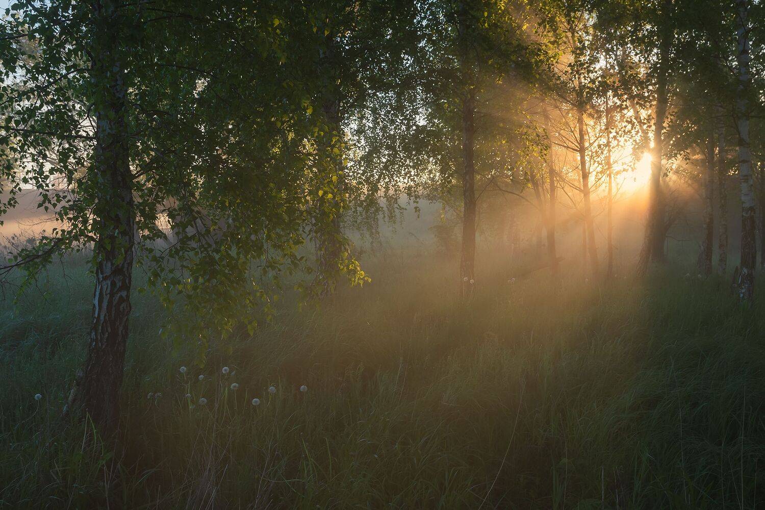 , Дмитрий Захаров