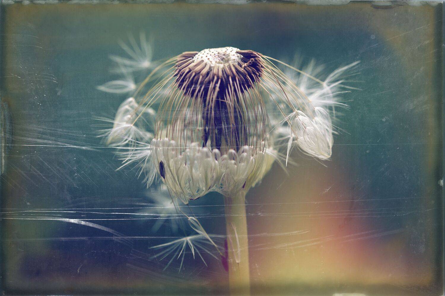 ,  Светослав Радков