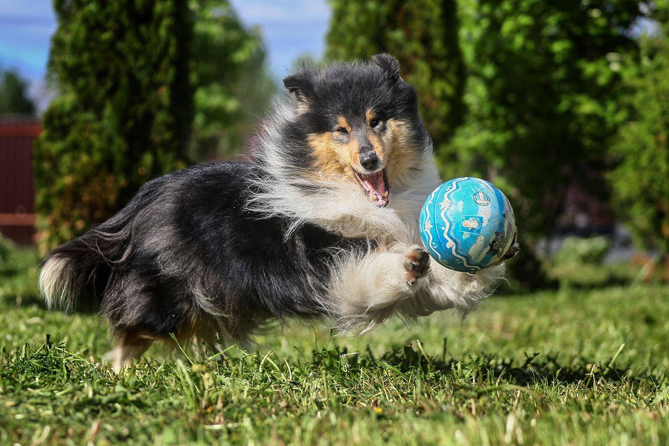 , Андрей Ершов