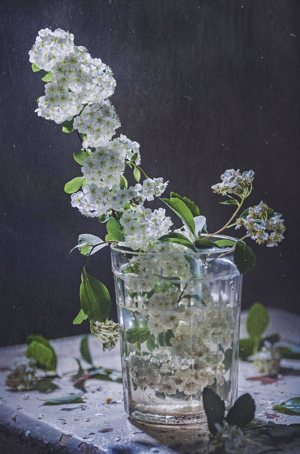 веточка спиреи ,весна,стакан,старый стул,текстура, Владимир Володин