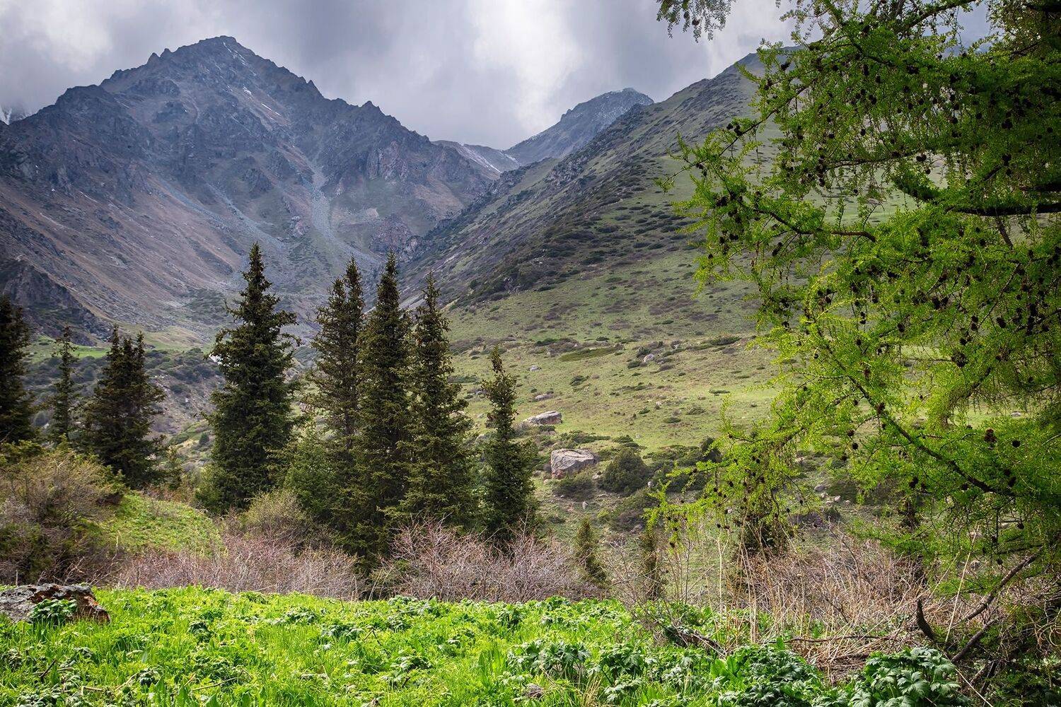 кыргызстан, горы, Элина Магалимова