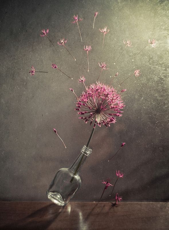 Свобода фото превью