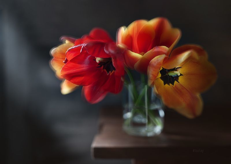 тюльпаны Про большие тюльпаны в маленькой кружке фото превью