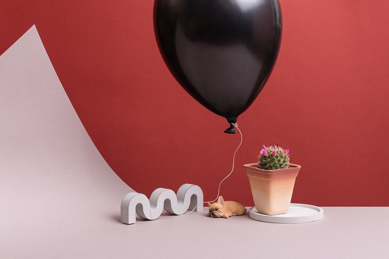 Последние мгновения тишины фото превью