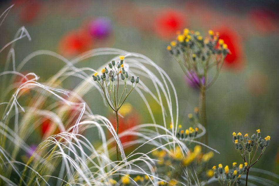 , Андрей Гусаченко