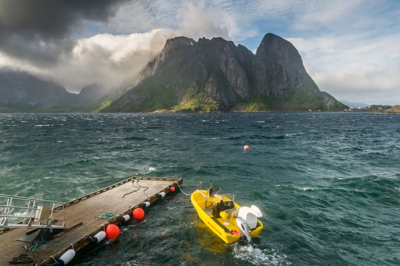 фото превью