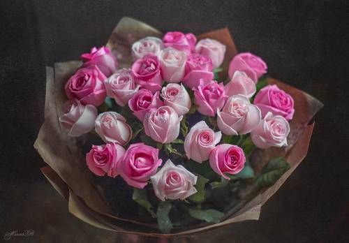 Розовые сны