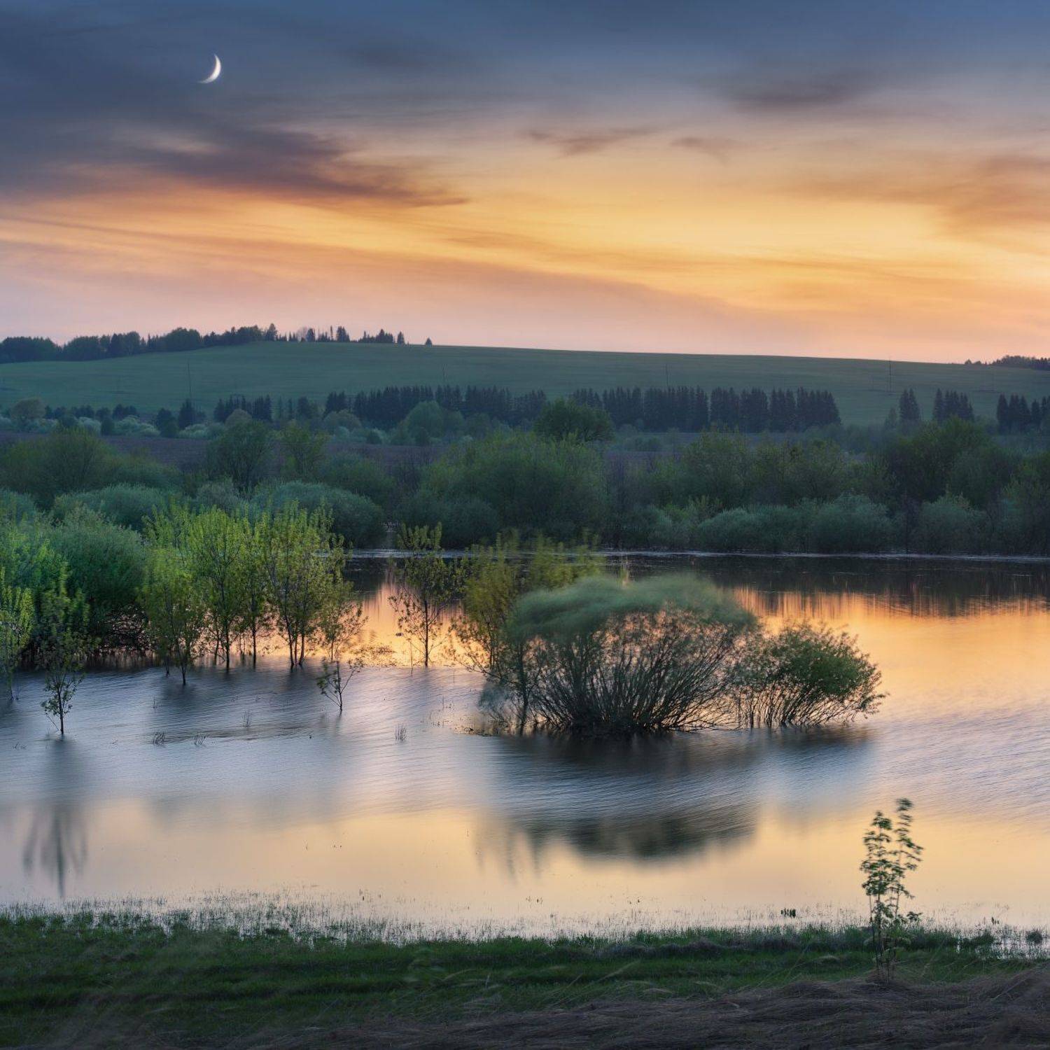сумерки, луна, Дмитрий Медянцев