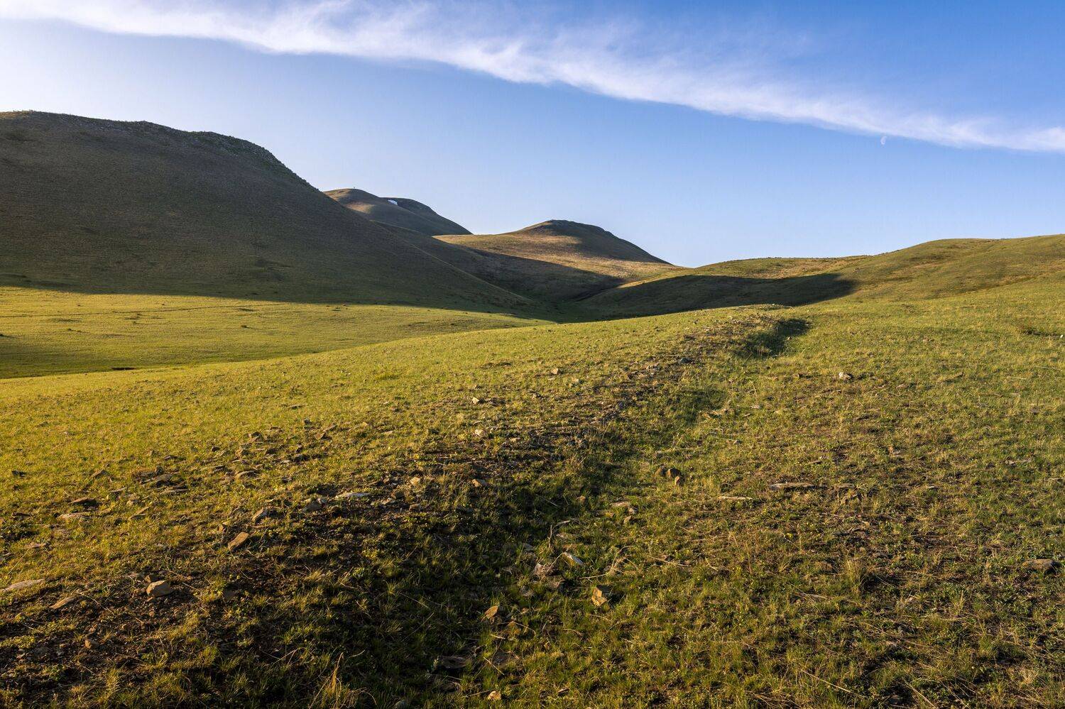 , Андрей Шарапов