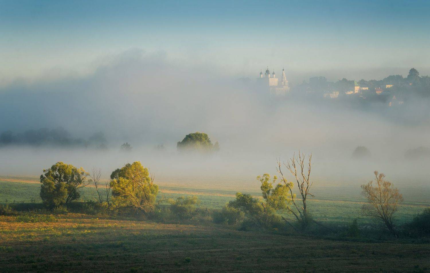 одоев, анастасово, утро, монастырь, Виталий Левыкин