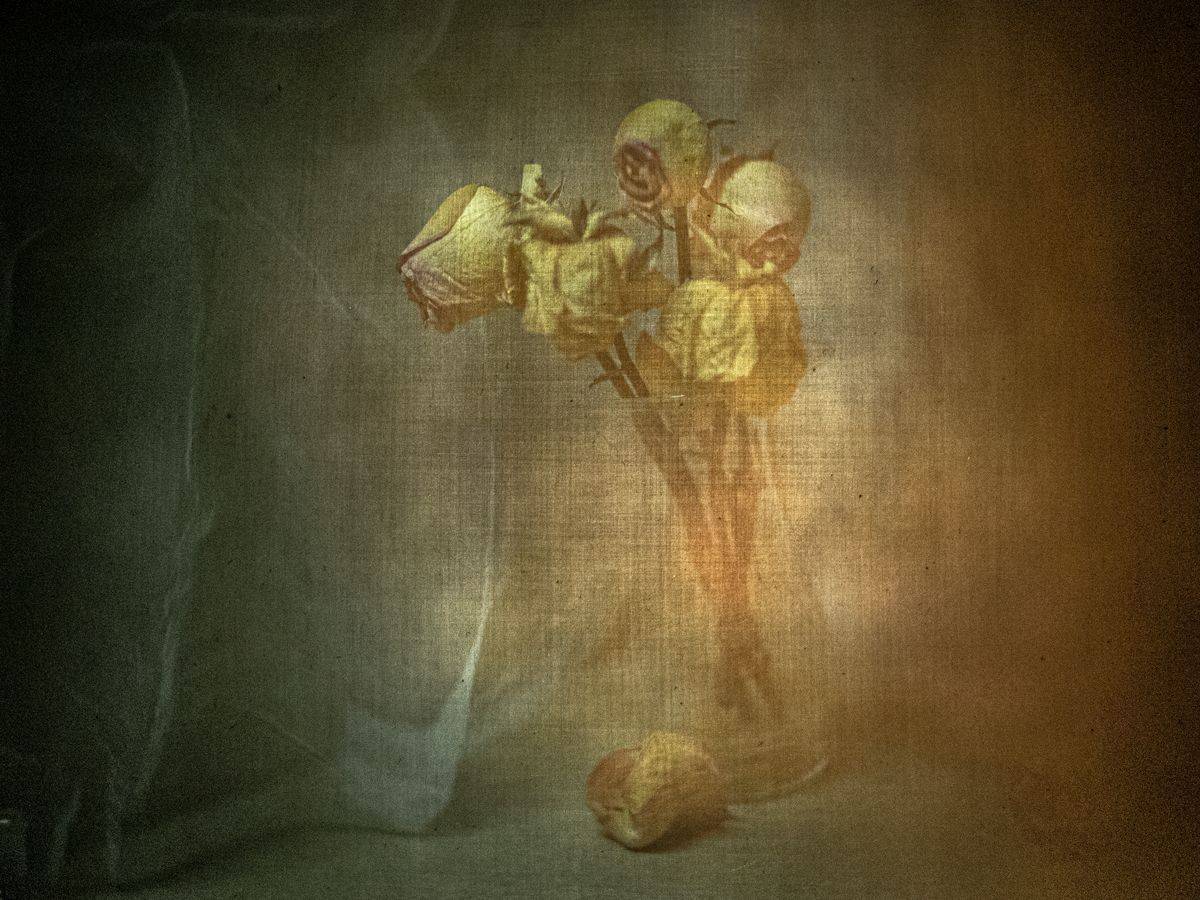 #haruhisa, Татьяна Аверина