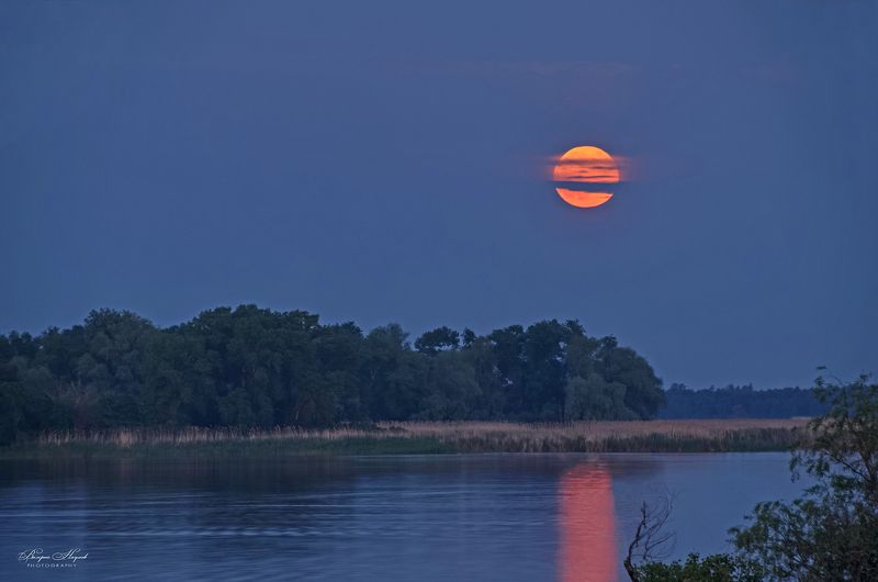 полнолуние, река, восход, май, дорожка, берег, острова В просветах туч Луна всходила фото превью