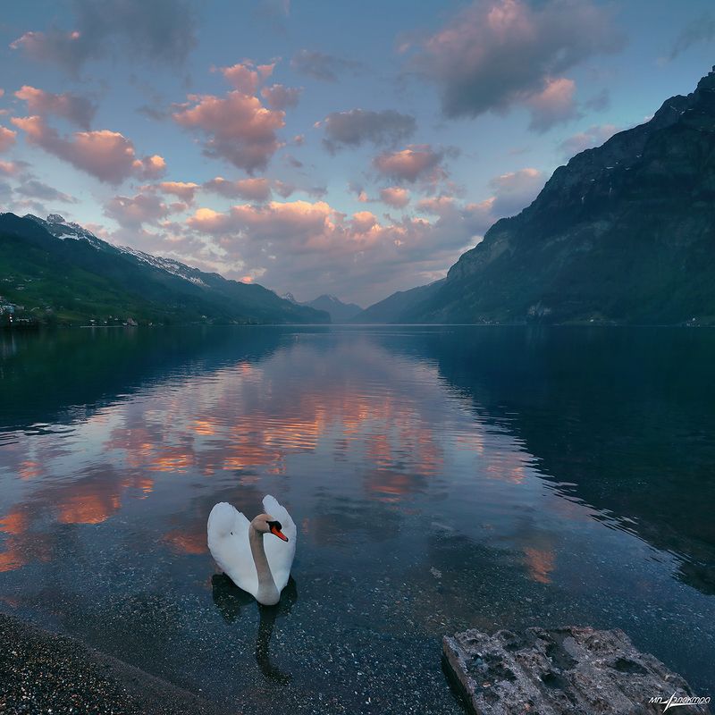 swiss,швейцария Утро.. фото превью