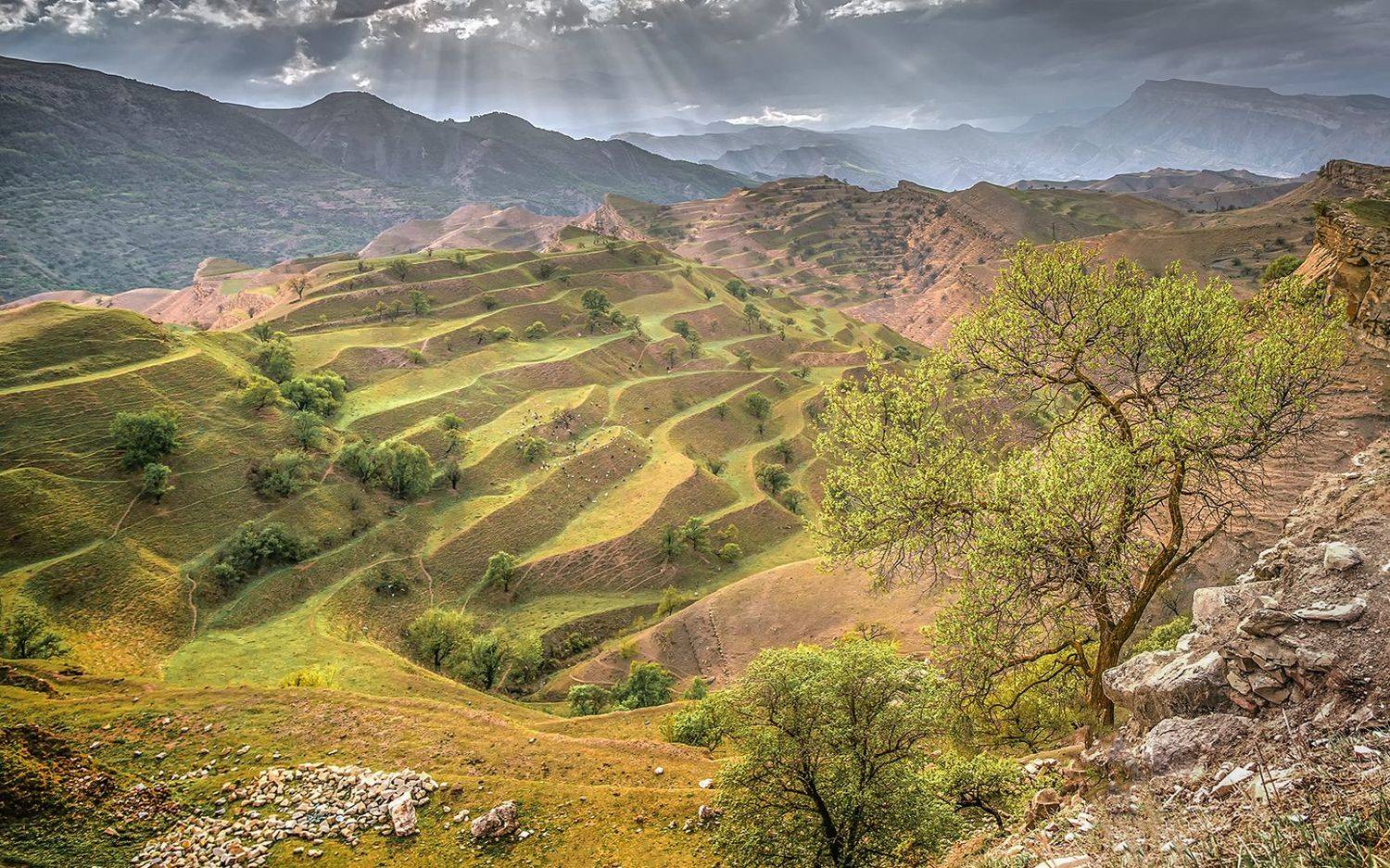 , Елена Маковоз